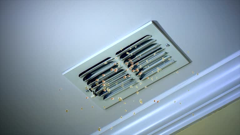 Best HVAC Duct Inspection Services  in Cowpens, SC