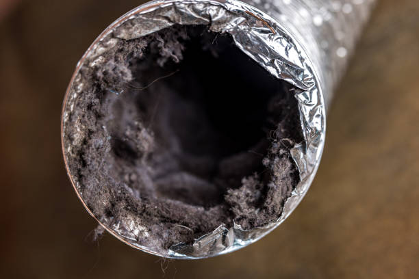 Best HVAC Duct Inspection Services  in Cowpens, SC